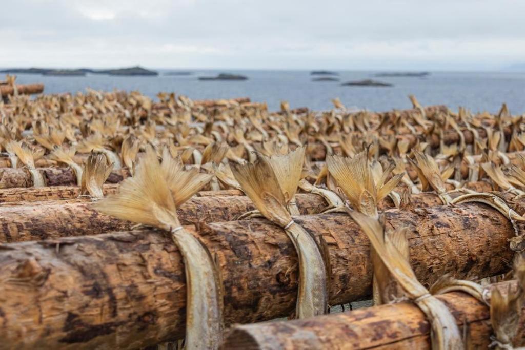 Lofoten Holiday Kabelvåg 外观 照片